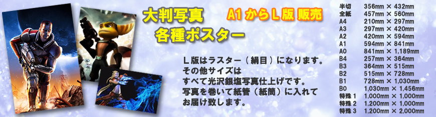 大判写真・ポスターの購入説明画像、870*235