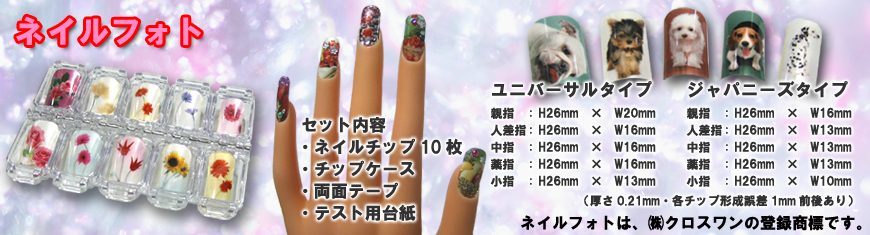 ネイルフォトの購入説明画像、870*235
